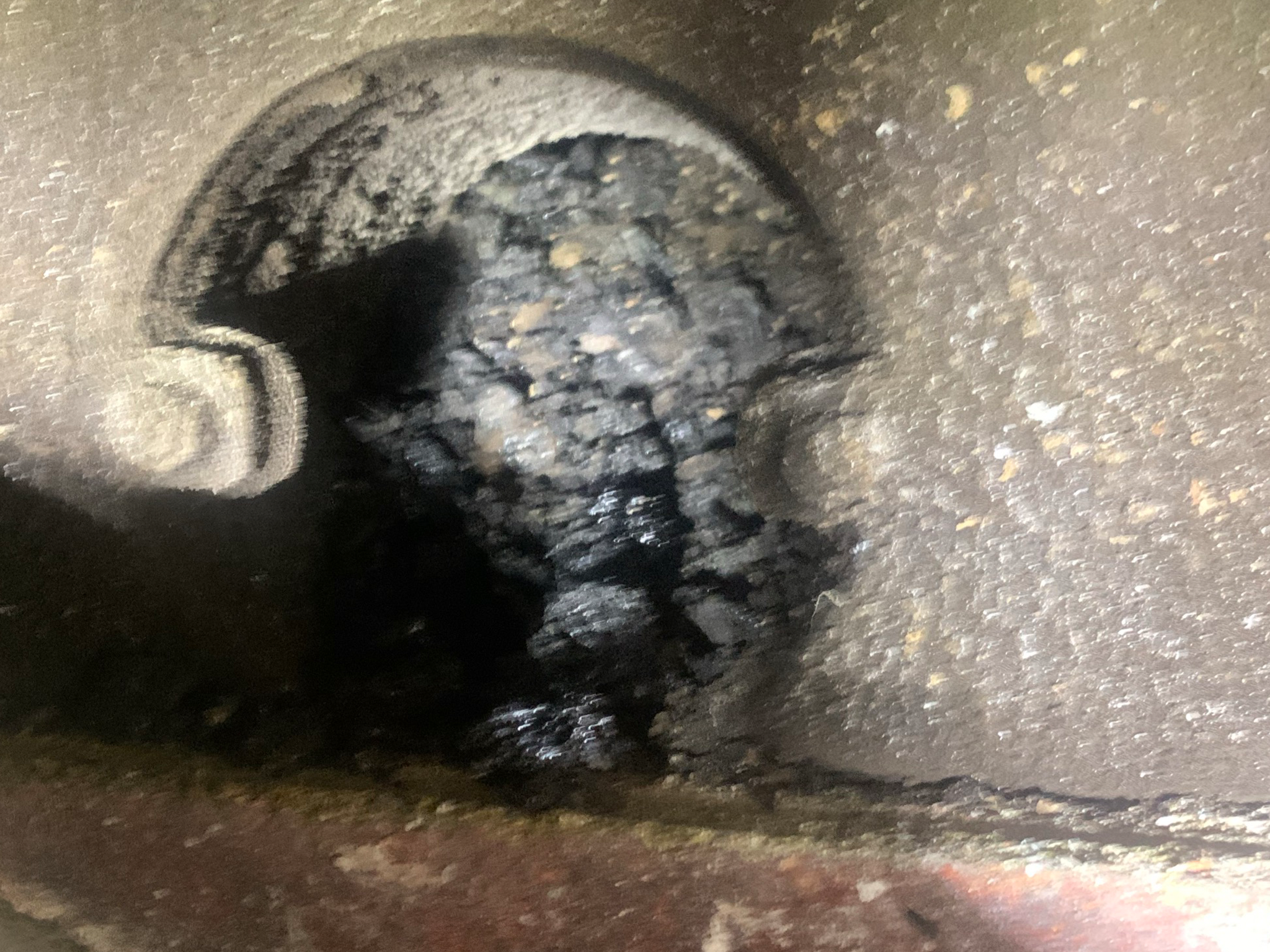 Blocked chimney with nest